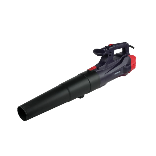 Souffleur 3000W